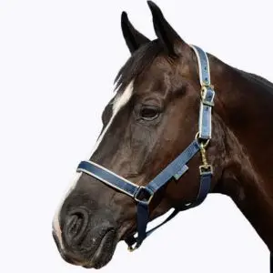 Bucas Halster Dublin Navy/Zilver