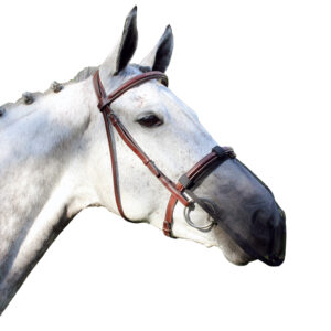QHP Nose Net Black