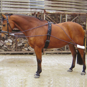 Harry's Horse Longeerhulpteugel Navy/Rood