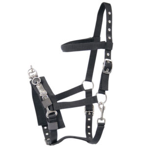 Bride de cheval noire de Harry