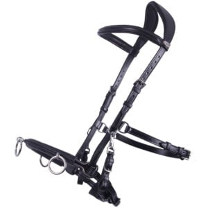 Cuir Cavesson QHP avec clips mors