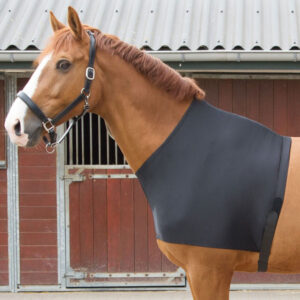 Harry's Horse Brustschutz Lycra Schwarz