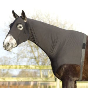 QHP Brustschutz mit Hals Lycra Schwarz