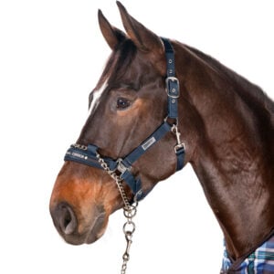 Eskadron Halter Control Navy