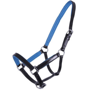 QHP Licol Poulain Spirit Cuir Noir/Bleu