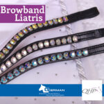 QHP frontriem Liatris rainbow lifestyle