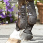 LeMieux peesbeschermers bruin Lifestyle