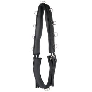 Sangle de longe Luxury Harry's Horse