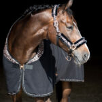 Detail voorsluiting zweetdeken Harry's Horse Cats