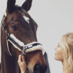 Lifestyle image Eskadron halter Varnish Evo-Wool