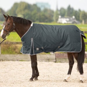 Harry's Horse Thor 300 Grams Ebony winter rug