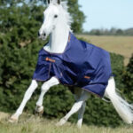 Bucas Therapy Turnout 150 grams navy orange front