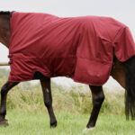 Lifestyle photo Eskadron blanket Rustic Red