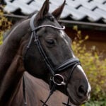Anatomically shaped headpiece QHP Nehza
