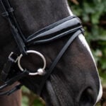 Lacquer noseband QHP bridle Nehza