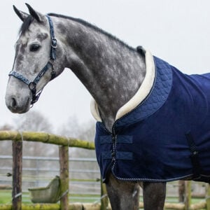 Deken QHP Brilliance Blueberry