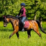 Sfeer foto BR vest Annemarie kinder Grape Wine