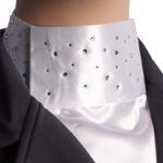 Photo de style de vie Harry's Horse stock cravate Crystal argent