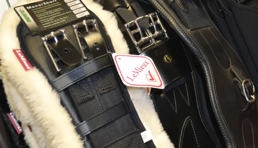 Dressuur en veelzijdigheidssingels