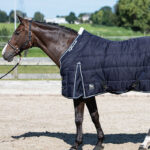 Atmospheric photo Harry's Horse Highliner 500 Grams