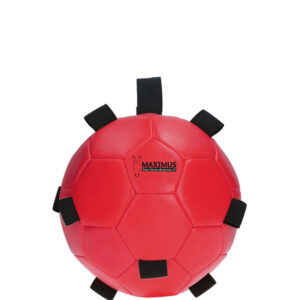 Fun Play Ball Maximus Rood