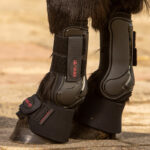 Tendon boots Harry's Horse STOUT black lifestyle