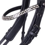Detail frontriem PresTeq FayPerfrom hoofdstel stang & trens Shine lak