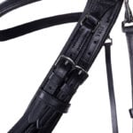 Stang & Trens hoofdstel PresTeq FayPerform detail gespen