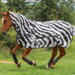 Couverture anti-mouches Bucas Buzz Off avec cou Zebra sans cou
