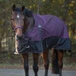 Voorkant winterdeken QHP 300 Grams Mystical