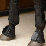 Harry's Horse BamBooBoot tendon boots lifestyle photo