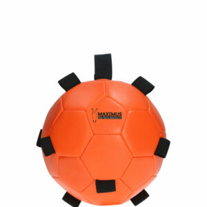 Orangefarbener Maximus Fun-Spielball