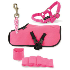 Crafty Ponies Fleecedeken Set Roze