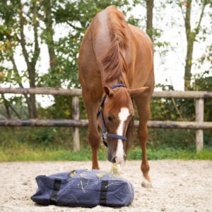 QHP Hay Cushion marineblaues Lifestyle-Foto