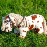 Lifestyle-Foto Westernzaum Crafty Ponys