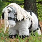 Lifestyle foto Crafty Ponies Enkelspan Set