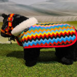 Fleecedeken set ZigZag Crafty Ponies lifestyle foto