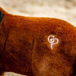 Lifestyle foto Crafty Ponies bruin/zwart veulen paardenknuffel