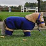 Sfeerfoto Crafty Ponies Fleecedeken Set Blauw
