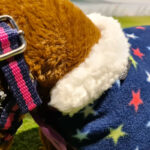 Detail hals Fleecedeken set Ster Crafty Ponies