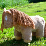 Photo de style de vie Poneys Crafty Roan