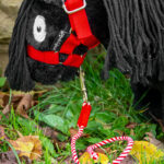 Lifestyle Crafty Ponies halstertouw rood