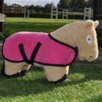 Fleecedeken Crafty Ponies Roze lifestyle foto