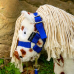 Close up halster en touw Crafty Ponies fleecedeken set blauw