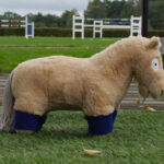 Lifestyle foto fleece bandages Crafty Ponies blauw