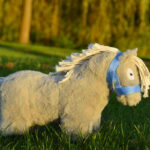 Lifestyle foto Crafty Ponies veulenhalster Babyblauw