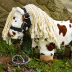 Lifestyle foto Crafty Ponies halster zwart