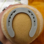 Geschikte hoefjes voor ijzers Crafty Ponies Hoefsmid Set