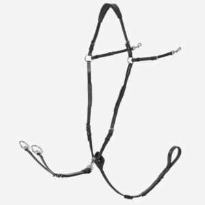 LeMieux Geschirr Kudos Schwarz/Silber