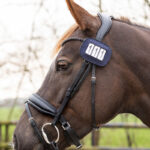 Lifestyle foto startnummer QHP Shine navy